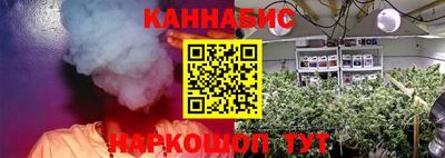 крисы Железногорск