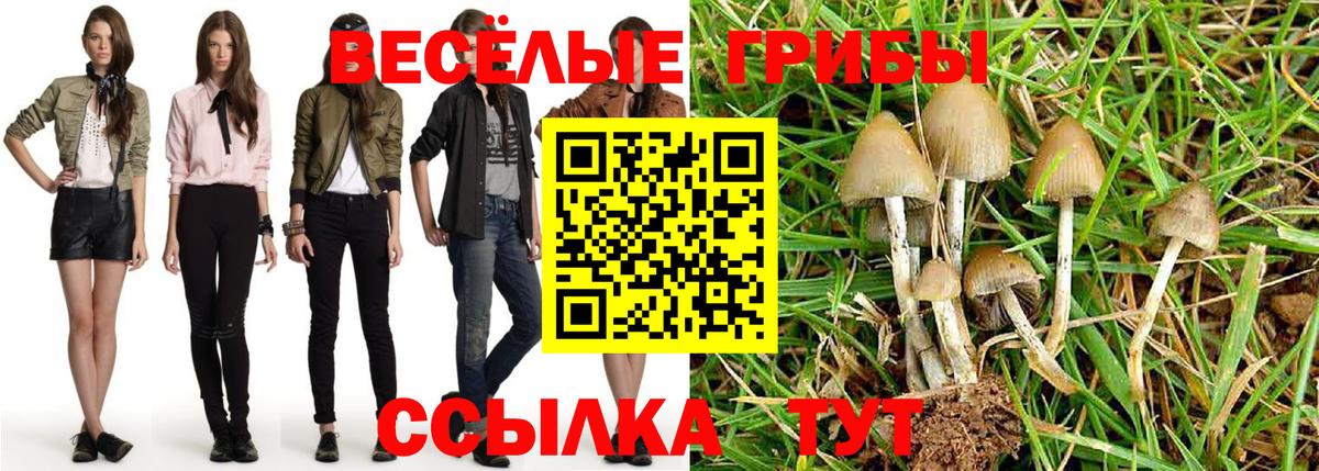 Галлюциногенные грибы ЛСД Великие Луки